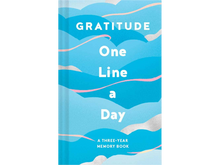 Gratitude One Line a Day