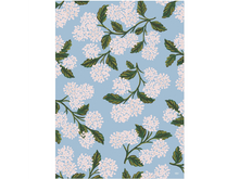 Hydrangea Gift Wrapping Sheet, Single Sheet