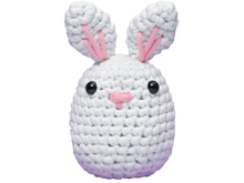 Beginner Crochet Kit