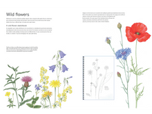 Kew Book of Botanical Illustration