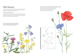 Kew Book of Botanical Illustration