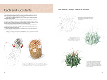 Kew Book of Botanical Illustration