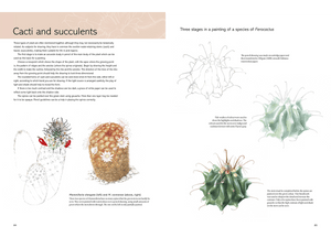 Kew Book of Botanical Illustration