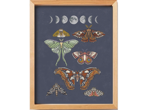 Moonlit Moths Art Print