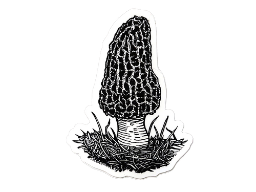 Morel Mushroom, Linocut Sticker 