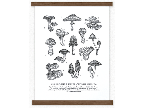 Mushrooms & Fungi Letterpress Art Print