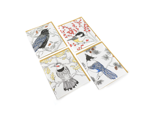 Nature Bird Series Assorted, Boxed Set of 8