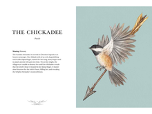 Ornithography by Jessica Roux