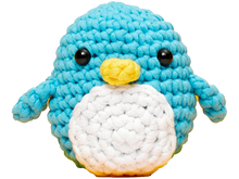 Beginner Crochet Kit