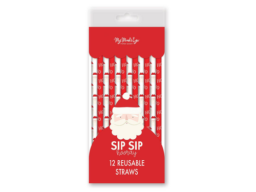 Believe Santa Reusable Straw Set