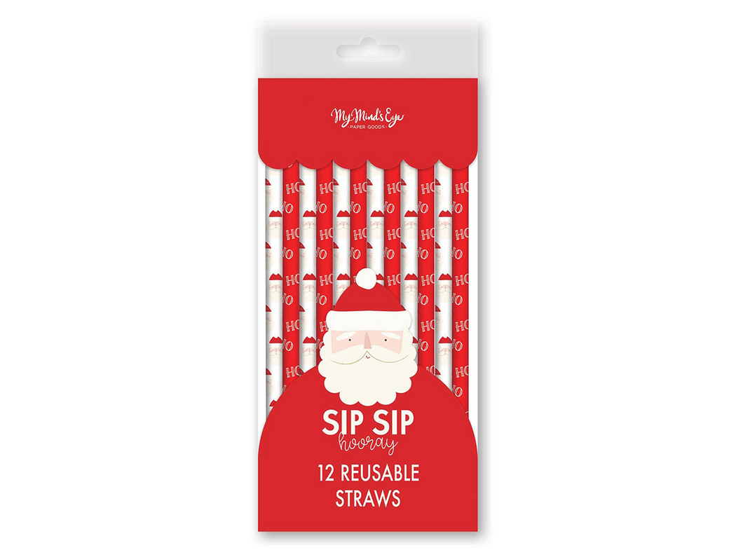 Believe Santa Reusable Straw Set