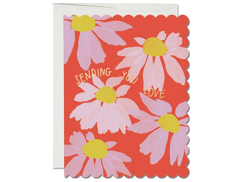 Scalloped Coneflower Sympathy, Single Card
