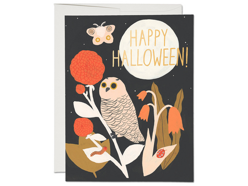 Spooky Night Halloween, Single Card