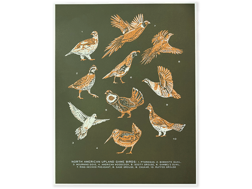 Upland Game Bird Art Print