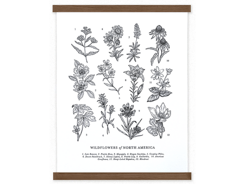 Wildflowers of North America Letterpress Art Print