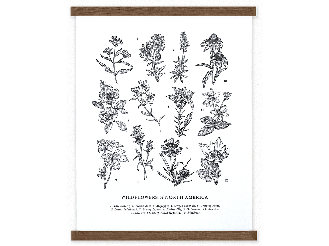 Wildflowers of North America Letterpress Art Print