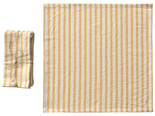 Striped Cotton Napkin Set