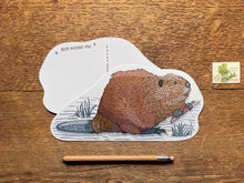 Beaver Postcard