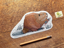 Beaver Postcard