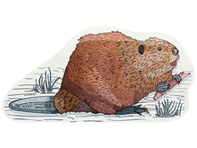 Beaver Postcard
