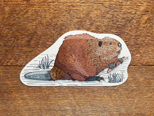 Beaver Postcard