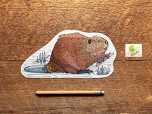 Beaver Postcard