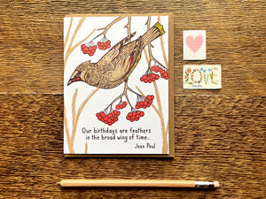 Birthday Feathers Greeting Card