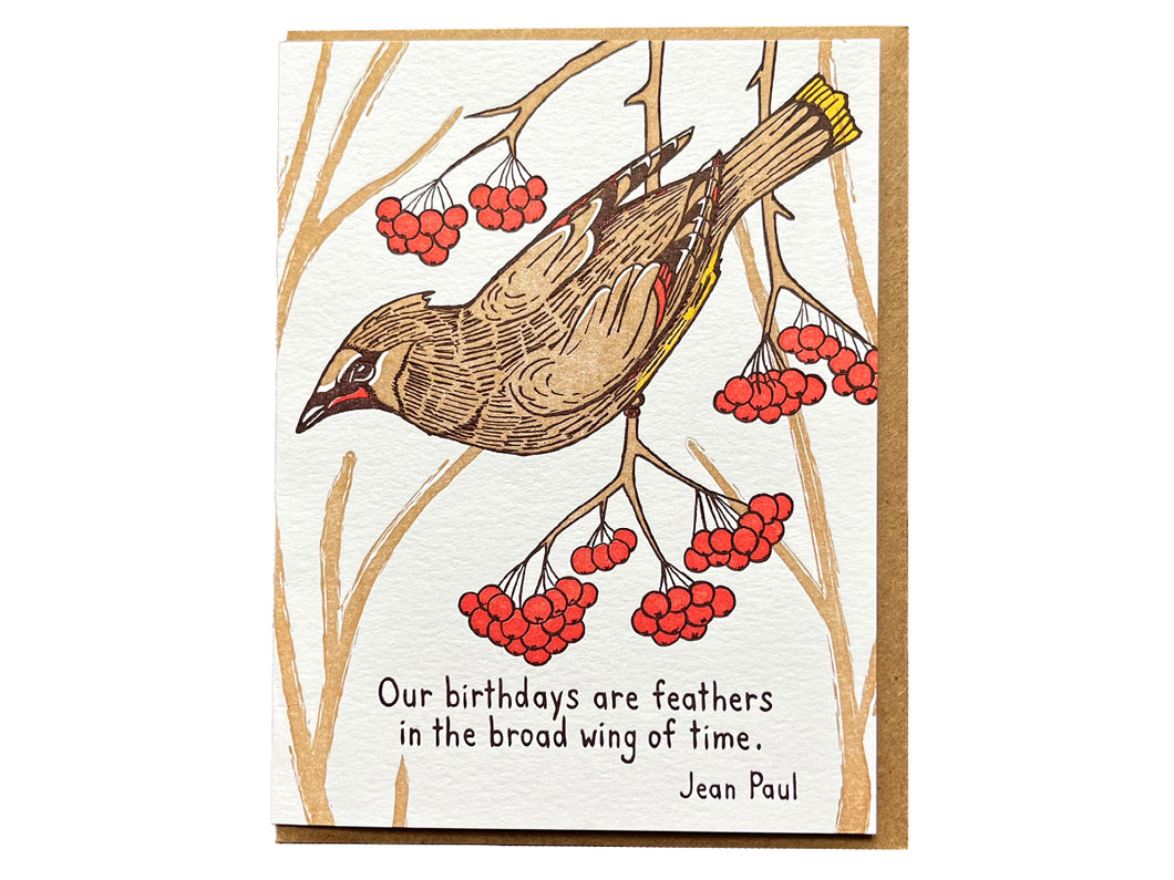 Birthday Feathers Greeting Card