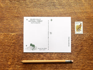 Black Hills Scenic Foil Postcard