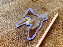 Brown Pelican Sticker