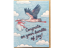 Bundle of Joy Greeting Card
