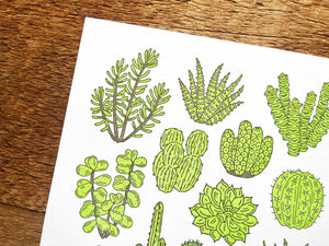 Cacti & Succulents Art Print