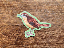 Carolina Wren Sticker