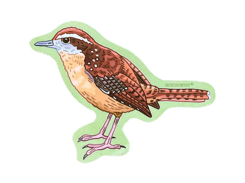 Carolina Wren Sticker