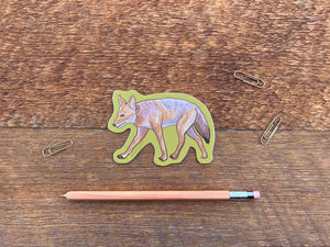 Coyote Sticker