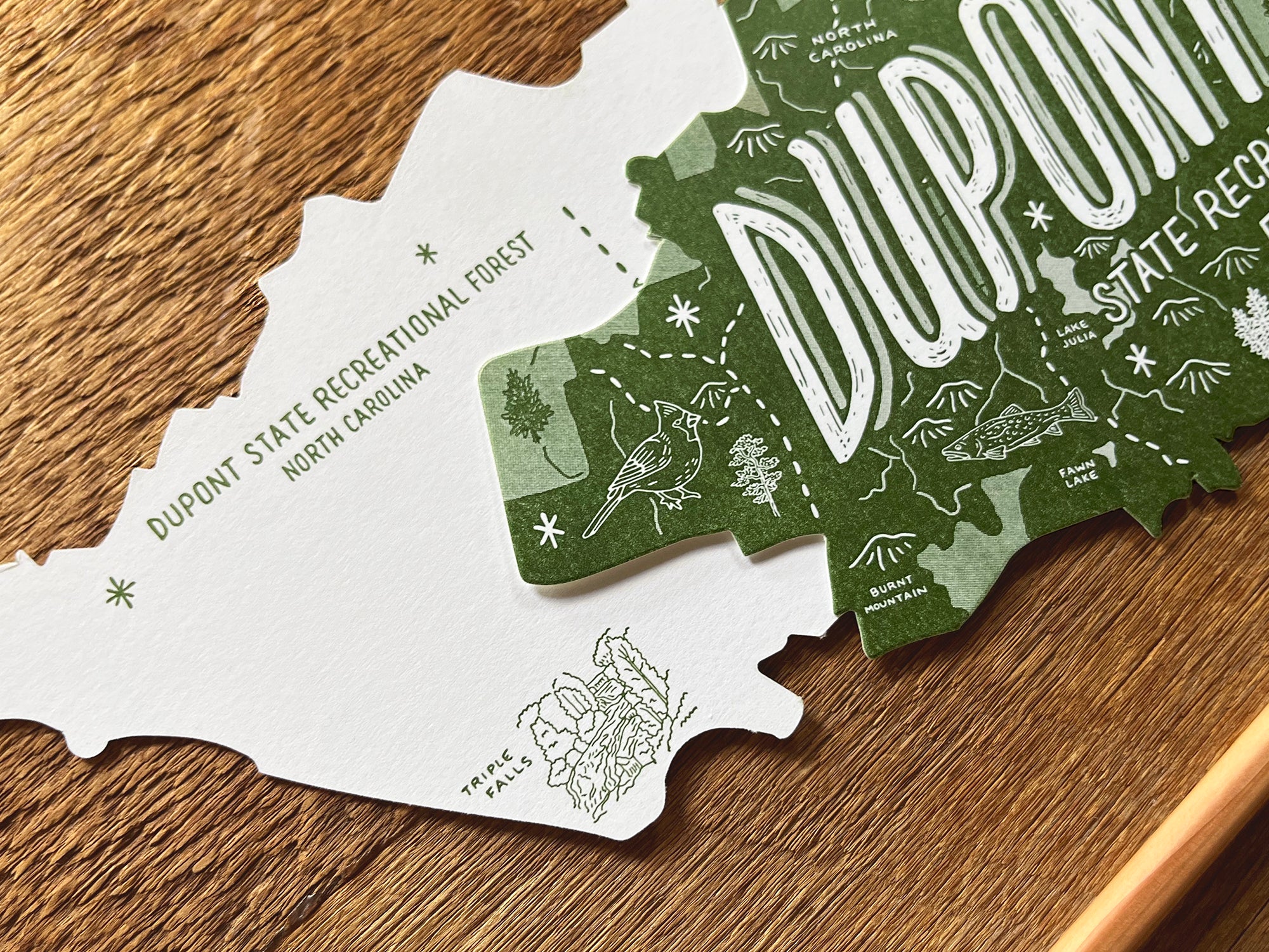 Dupont State Forest Postcard – Noteworthy Paper & Press