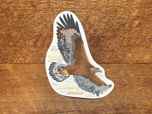 Golden Eagle Postcard