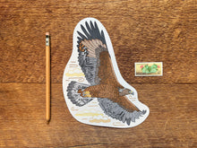Golden Eagle Postcard