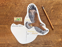 Golden Eagle Postcard