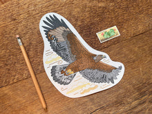 Golden Eagle Postcard