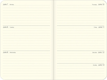 2027 Birds Weekly Planner