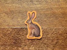 Jackrabbit Sticker