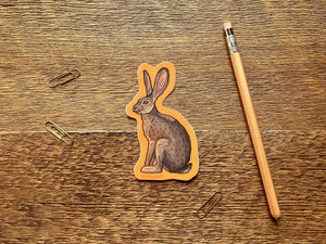 Jackrabbit Sticker