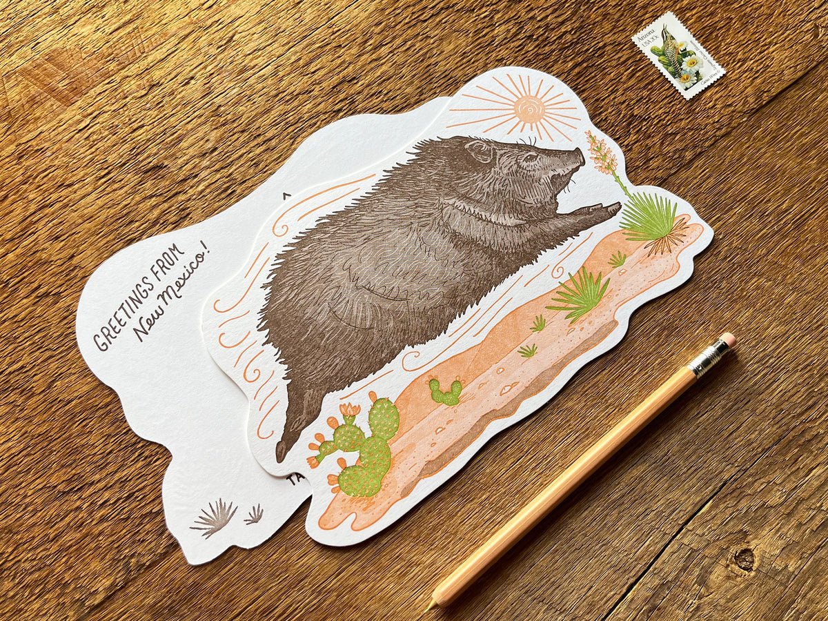 Javelina Postcard – Noteworthy Paper & Press
