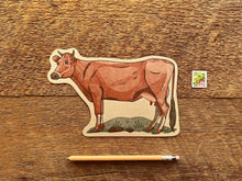 Jersey Cow Postcard