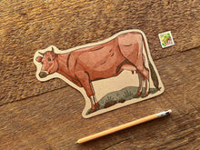 Jersey Cow Postcard