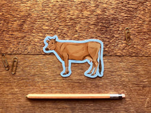 Jersey Cow Sticker