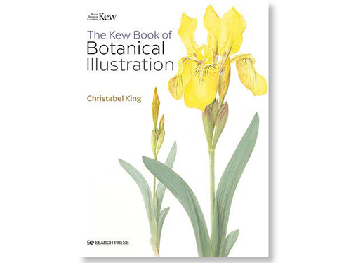 Kew Book of Botanical Illustration