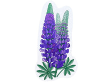 Lupine Postcard