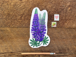 Lupine Postcard